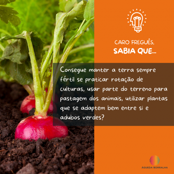 	Caro Freguês, Sabia que ... ?